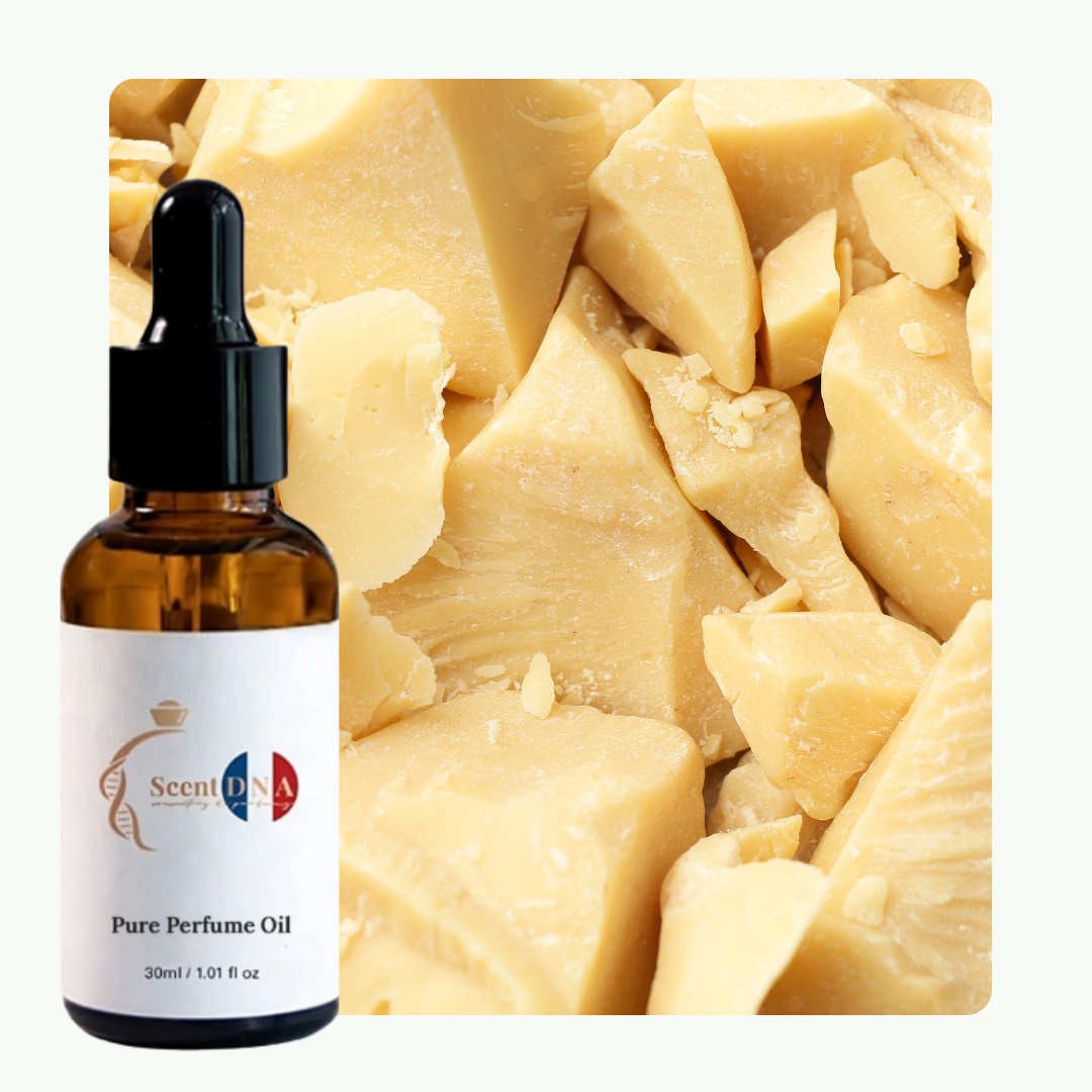 زيت زبدة الكاكاو العطري