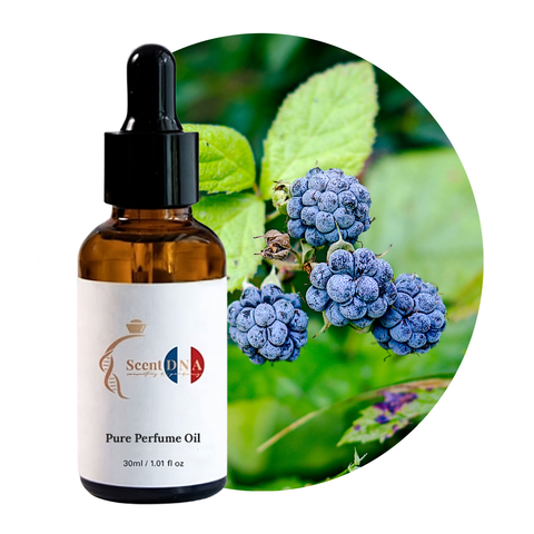 زيت توت الندى العطري