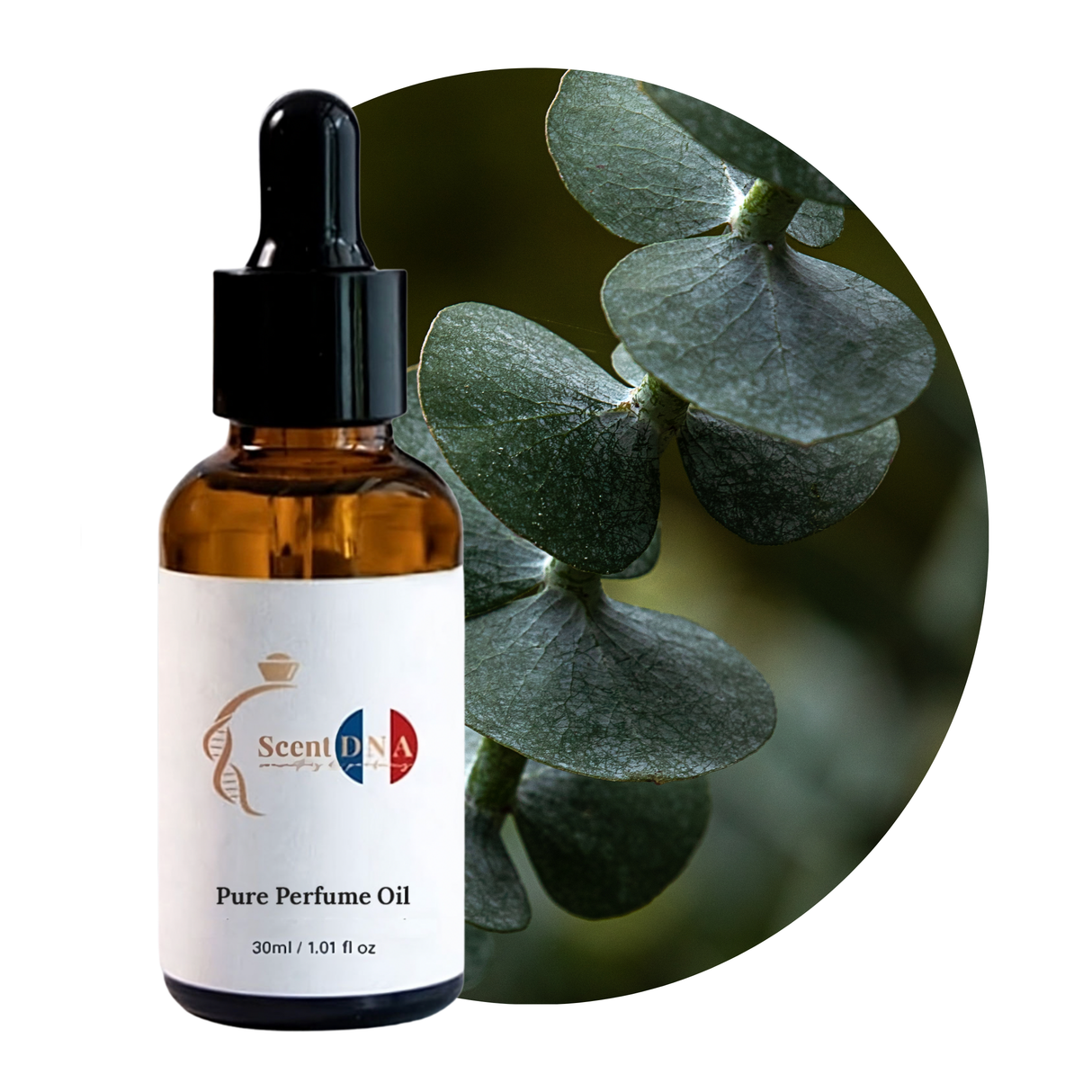 Eucalyptus Perfume Oil