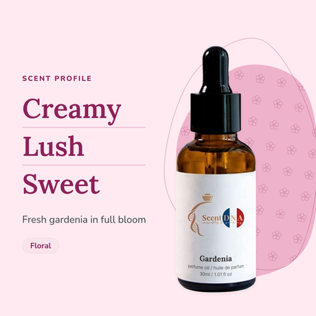 Gardenia Perfume Oil scent profile: creamy, lush, sweet. Fresh gardenia in full bloom