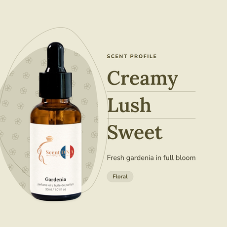 Gardenia Perfume Oil scent profile: creamy, lush, sweet. Fresh gardenia in full bloom