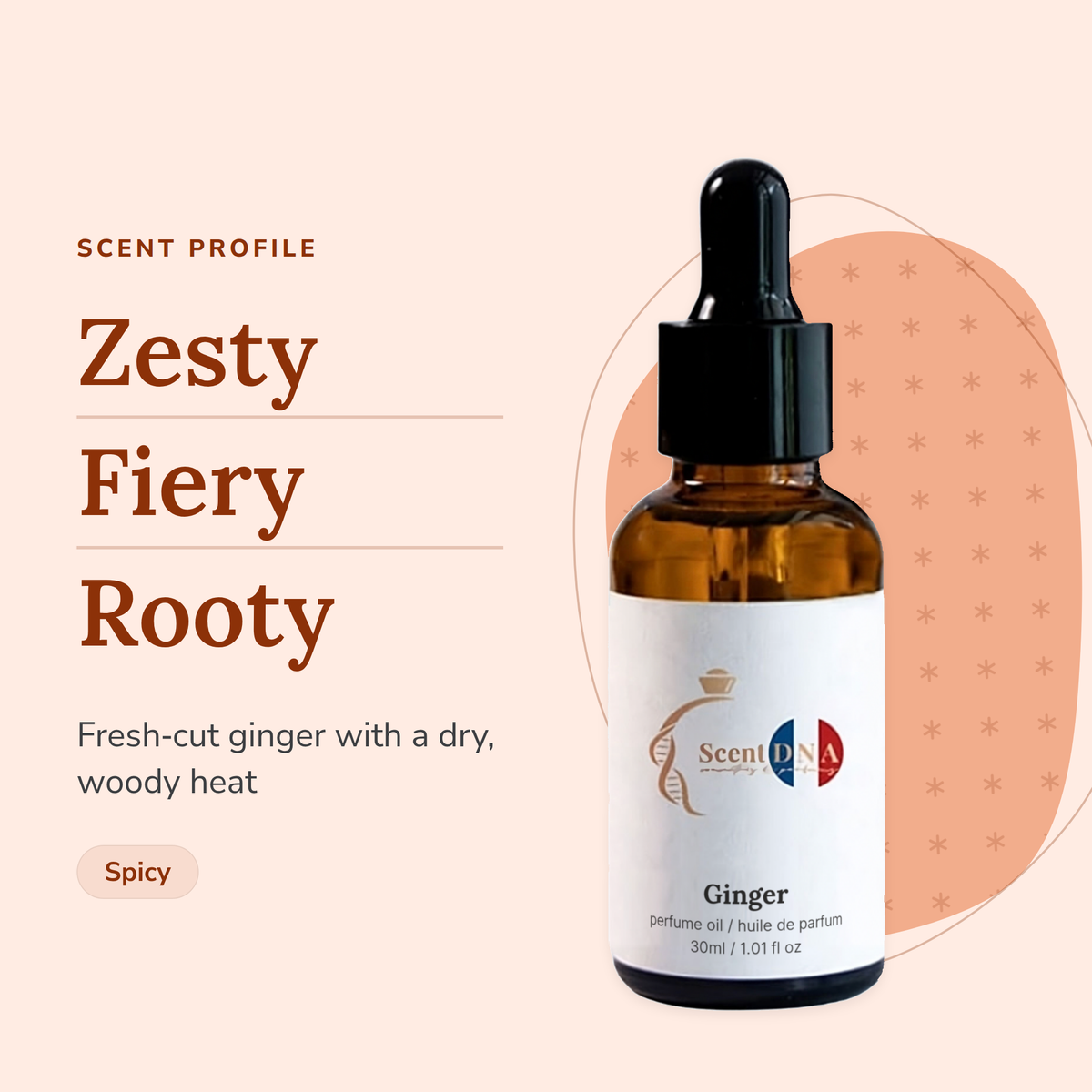 Ginger Perfume Oil scent profile: zesty, fiery, rooty. Fresh-cut ginger with a dry, woody heat