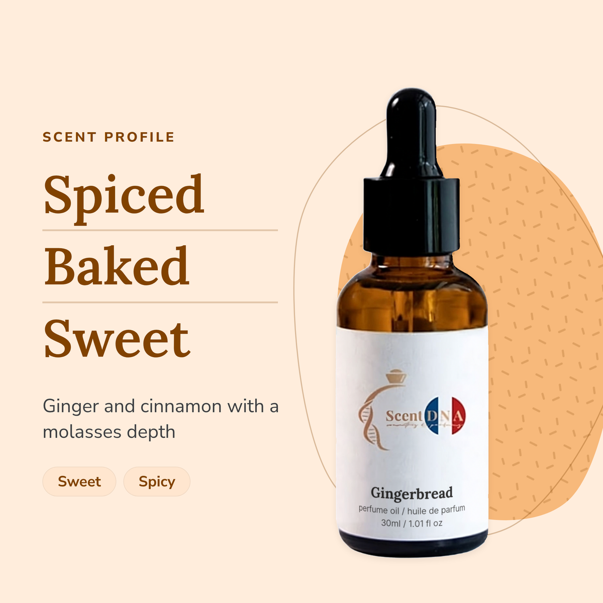 Gingerbread Perfume Oil scent profile: spiced, baked, sweet. Ginger and cinnamon with a molasses depth