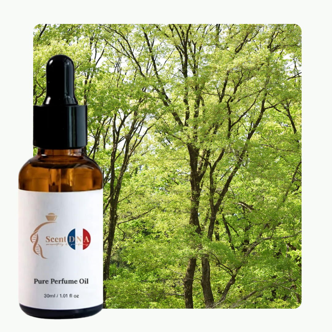 Green Magic Perfume Oil