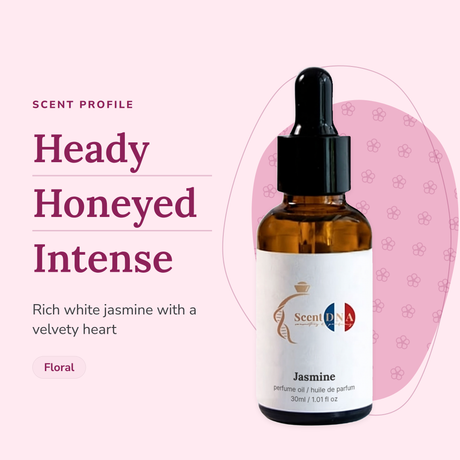 Jasmine Perfume Oil scent profile: heady, honeyed, intense. Rich white jasmine with a velvety heart