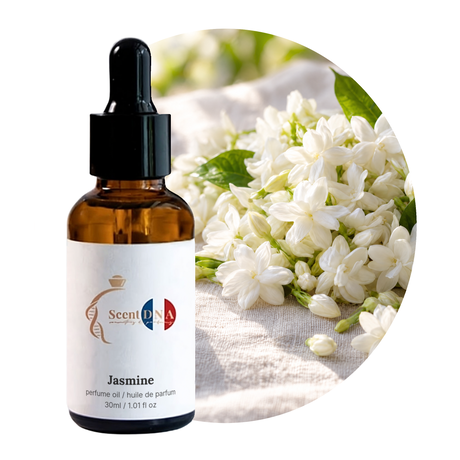 Jasmine Perfume Oil, 30ml amber dropper bottle, with freshly picked jasmine blossoms on linen