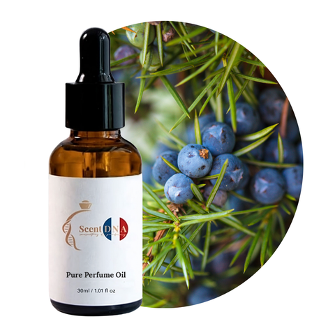 زيت ثمار العرعر العطري