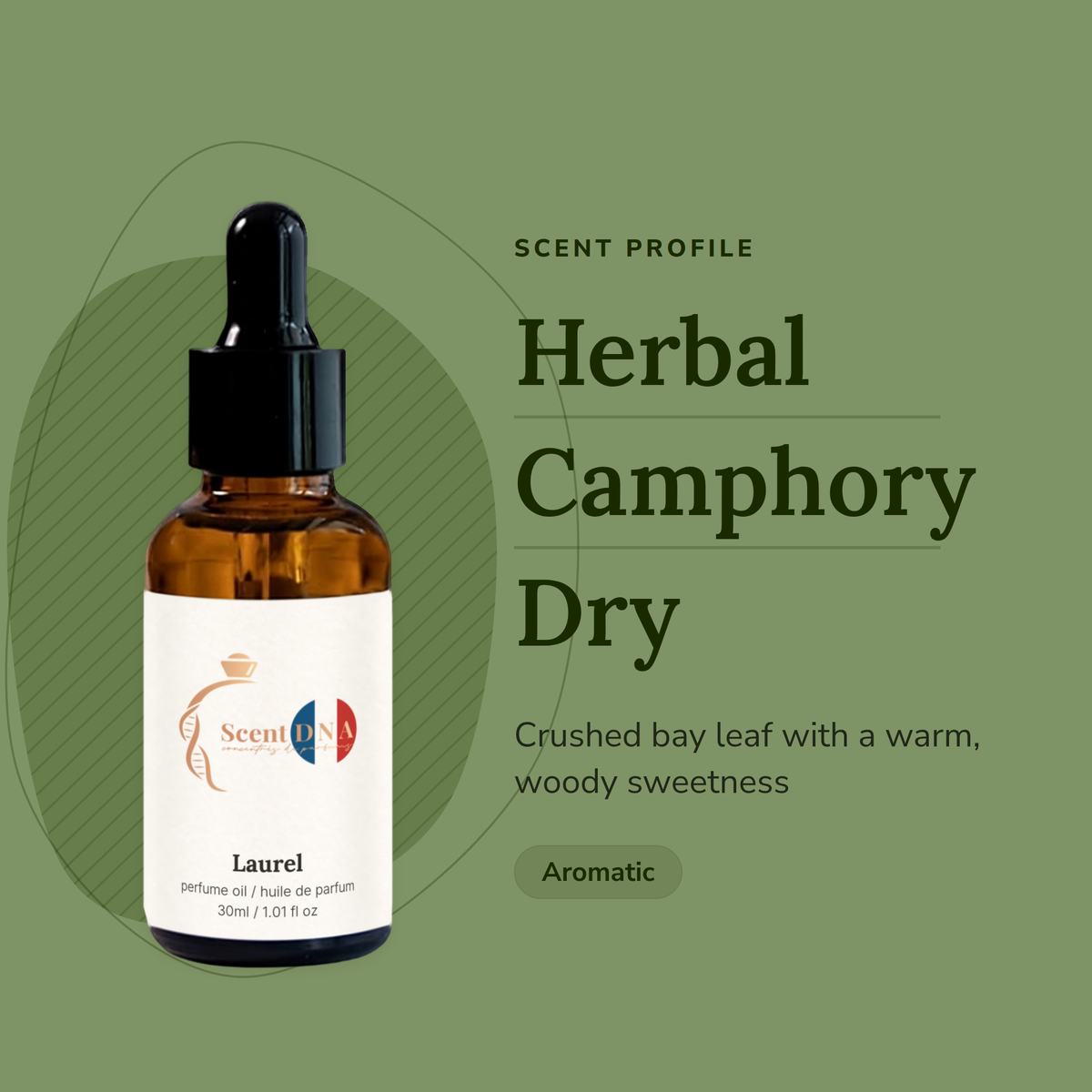 Laurel Perfume Oil scent profile: herbal, camphory, dry. Crushed bay leaf with a warm, woody sweetness