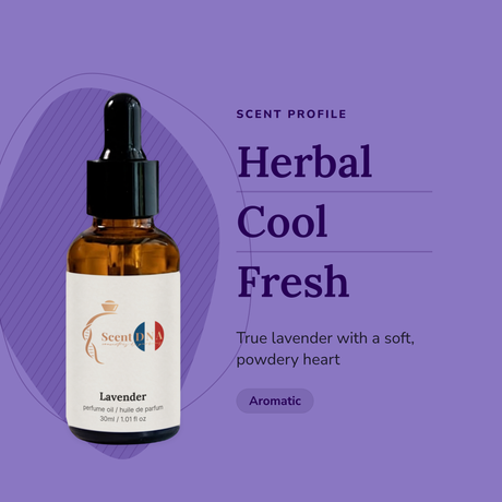 Lavender Perfume Oil scent profile: herbal, cool, fresh. True lavender with a soft, powdery heart