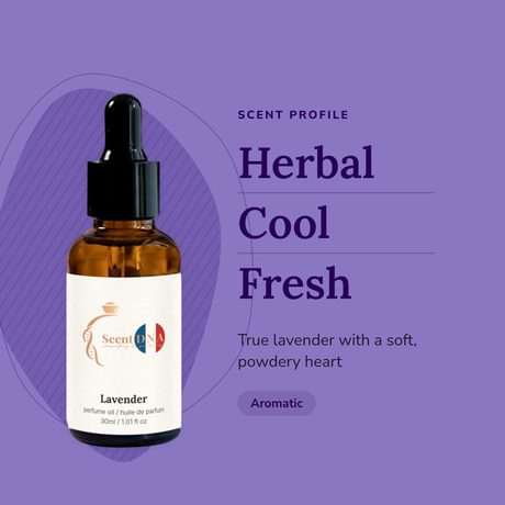 Lavender Perfume Oil scent profile: herbal, cool, fresh. True lavender with a soft, powdery heart