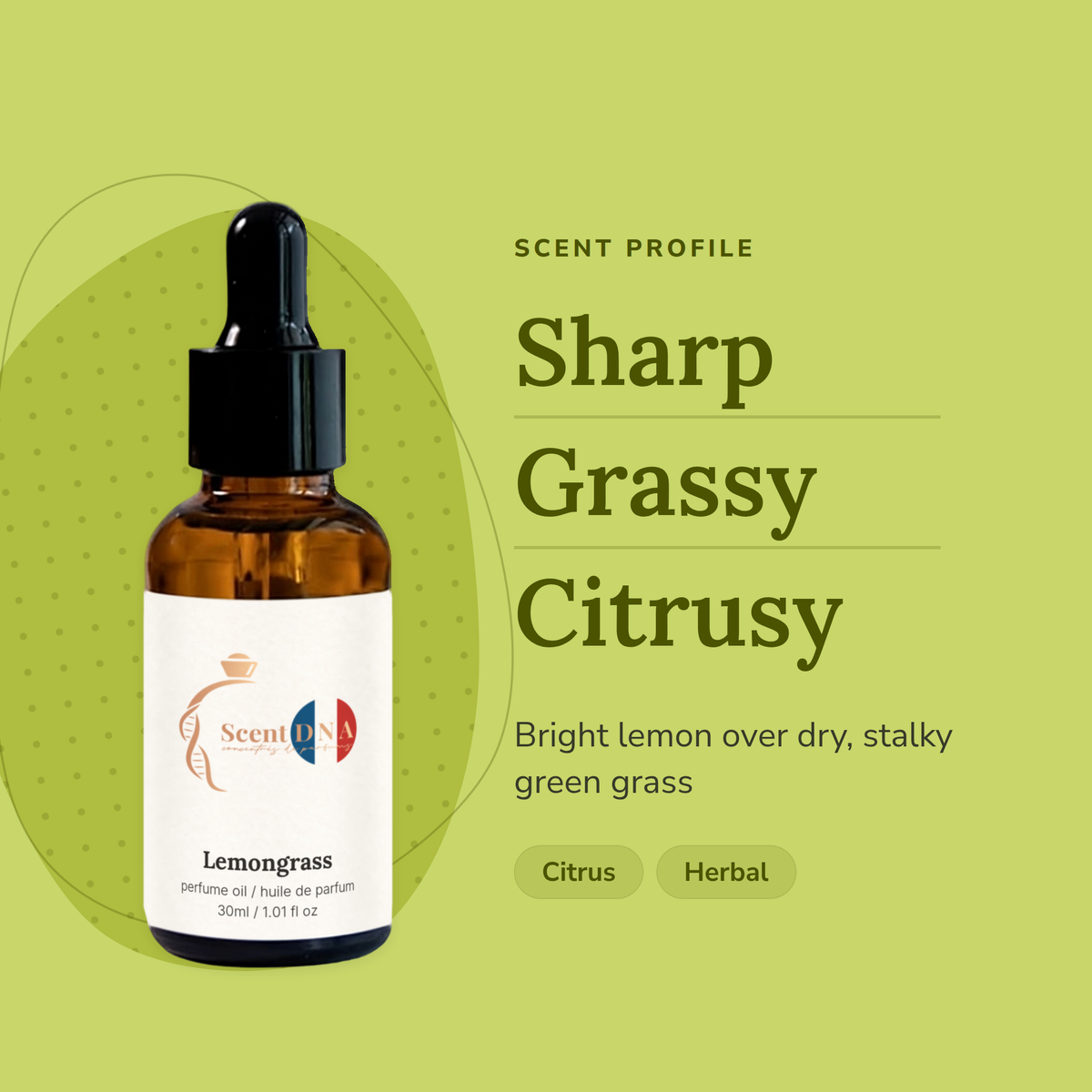 Lemongrass Perfume Oil scent profile: sharp, grassy, citrusy. Bright lemon over dry, stalky green grass