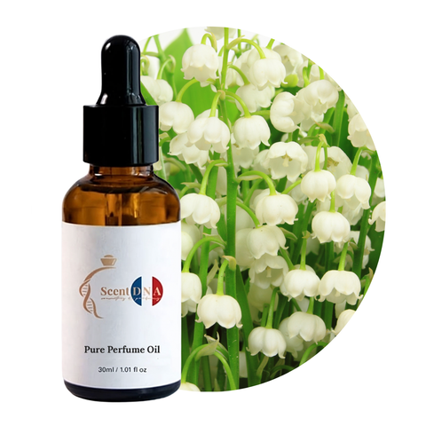 زيت زنبق الوادي العطري