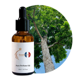 زيت شجرة الماهوغاني العطري