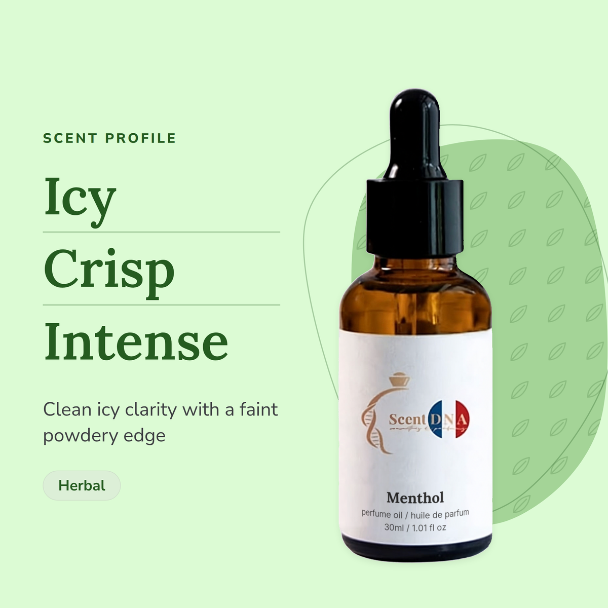 Menthol Perfume Oil scent profile: icy, crisp, intense. Clean icy clarity with a faint powdery edge