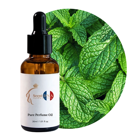 زيت النعناع العطري