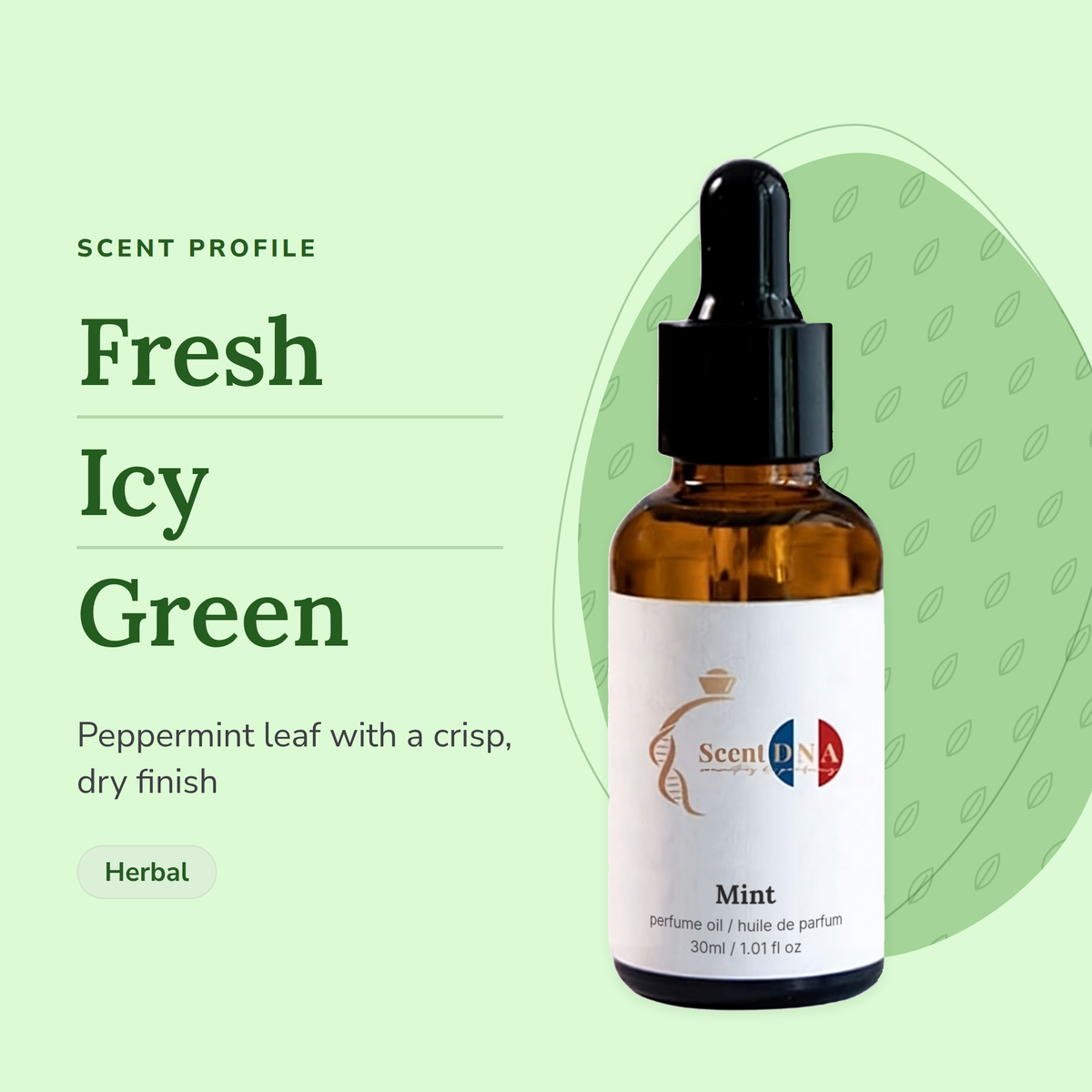 Mint Perfume Oil scent profile: fresh, icy, green. Peppermint leaf with a crisp, dry finish
