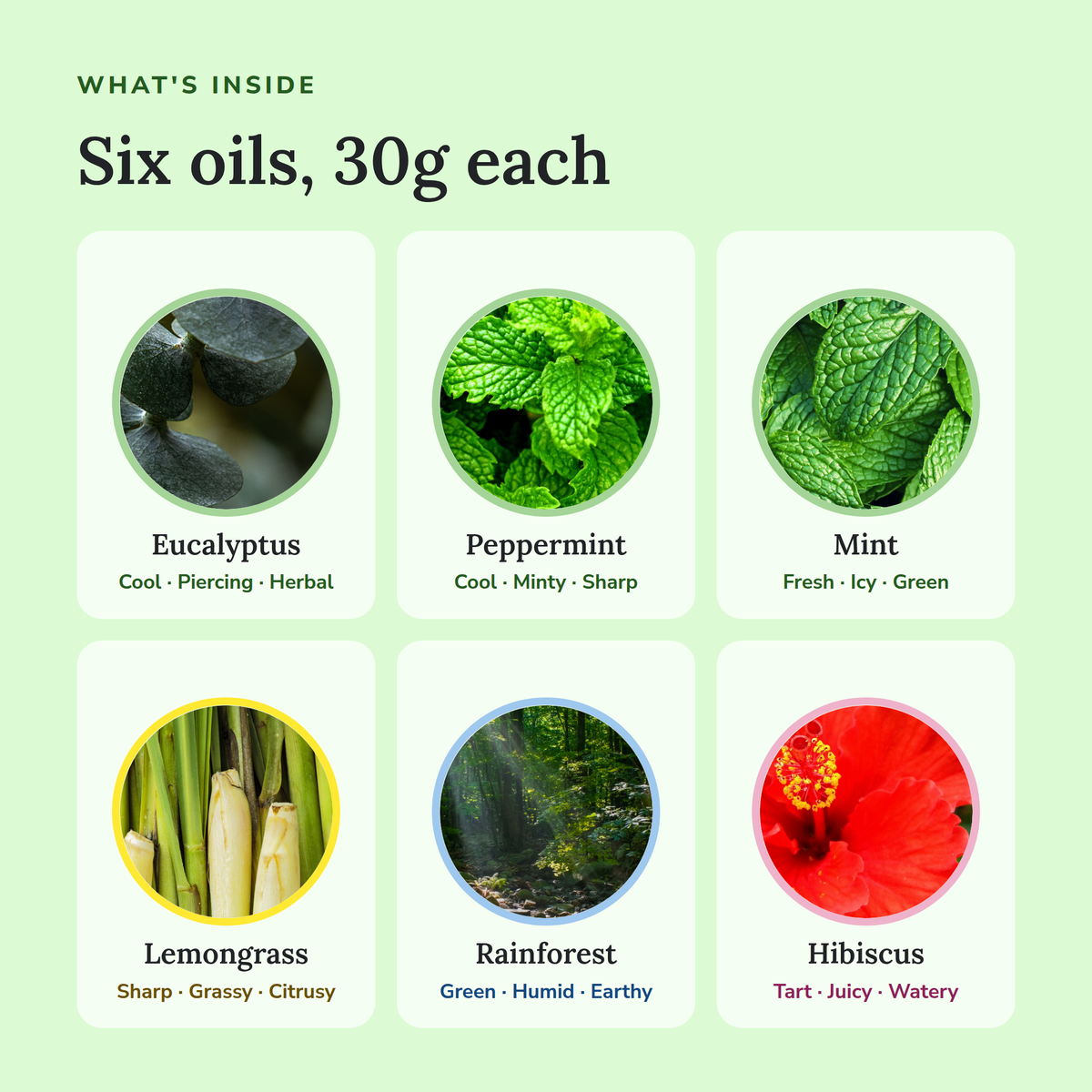 What's inside the Mint and Green Perfume Oil Bundle: Eucalyptus, Peppermint, Mint, Lemongrass, Rainforest and Hibiscus, 30g…