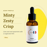 Mojito Perfume Oil scent profile: minty, zesty, crisp. Lime zest and spearmint with a sugarcane hint