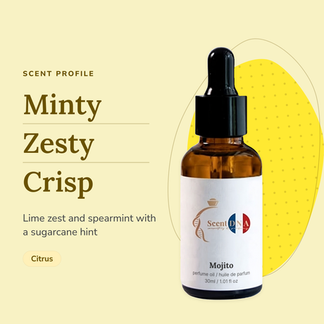 Mojito Perfume Oil scent profile: minty, zesty, crisp. Lime zest and spearmint with a sugarcane hint