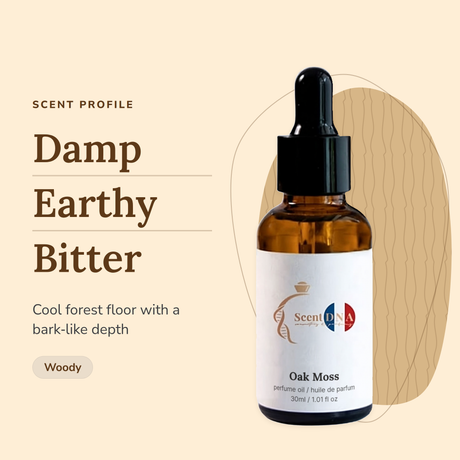 Oak Moss Perfume Oil scent profile: damp, earthy, bitter. Cool forest floor with a bark-like depth