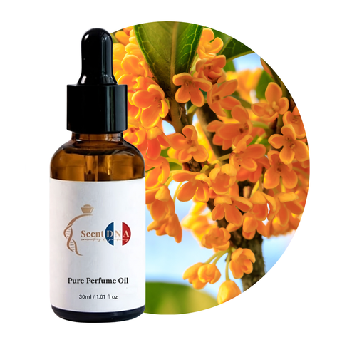 زيت الأوزمانثوس العطري