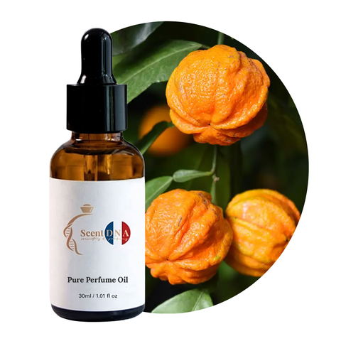 زيت البيتيتغرين العطري