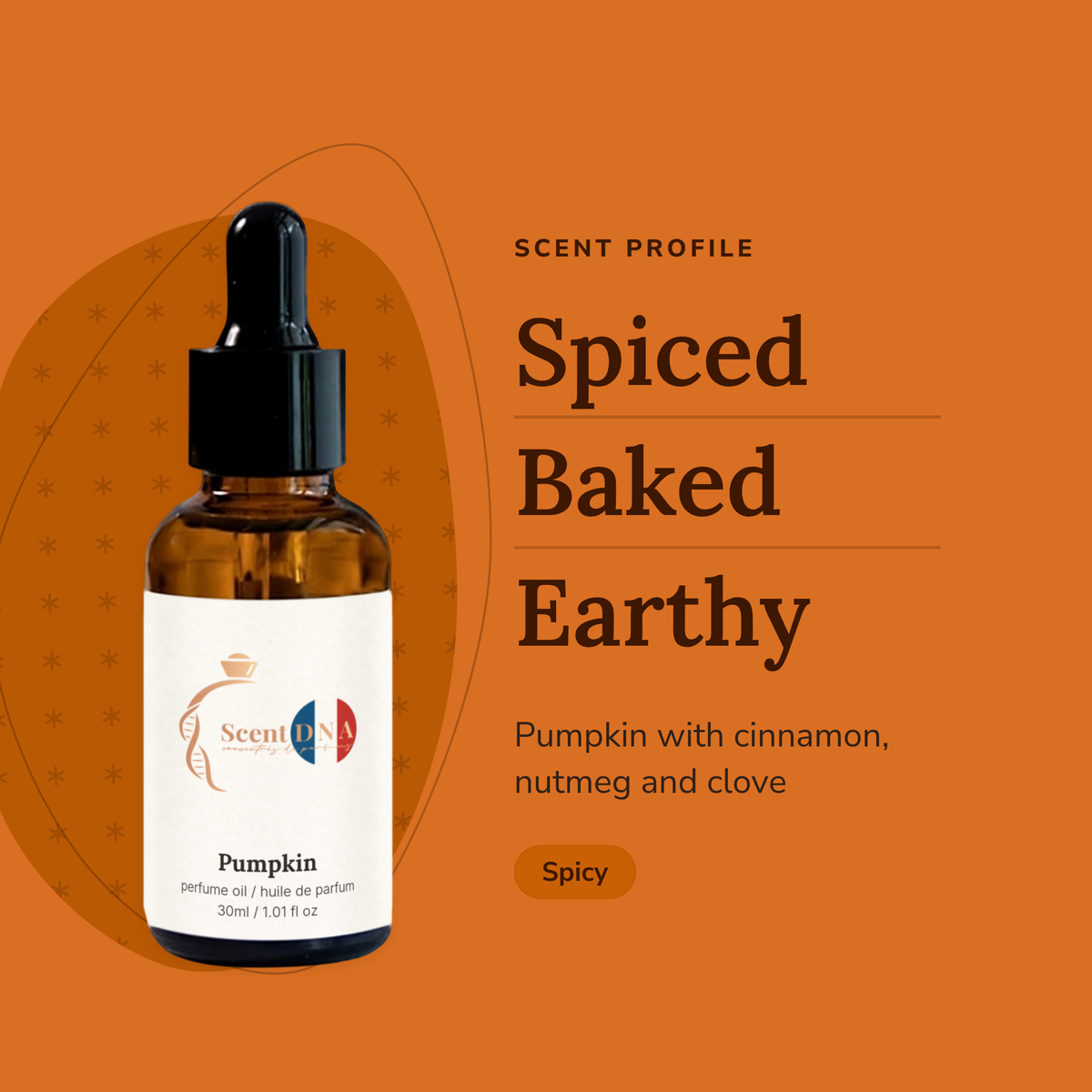 Pumpkin Perfume Oil scent profile: spiced, baked, earthy. Pumpkin with cinnamon, nutmeg and clove