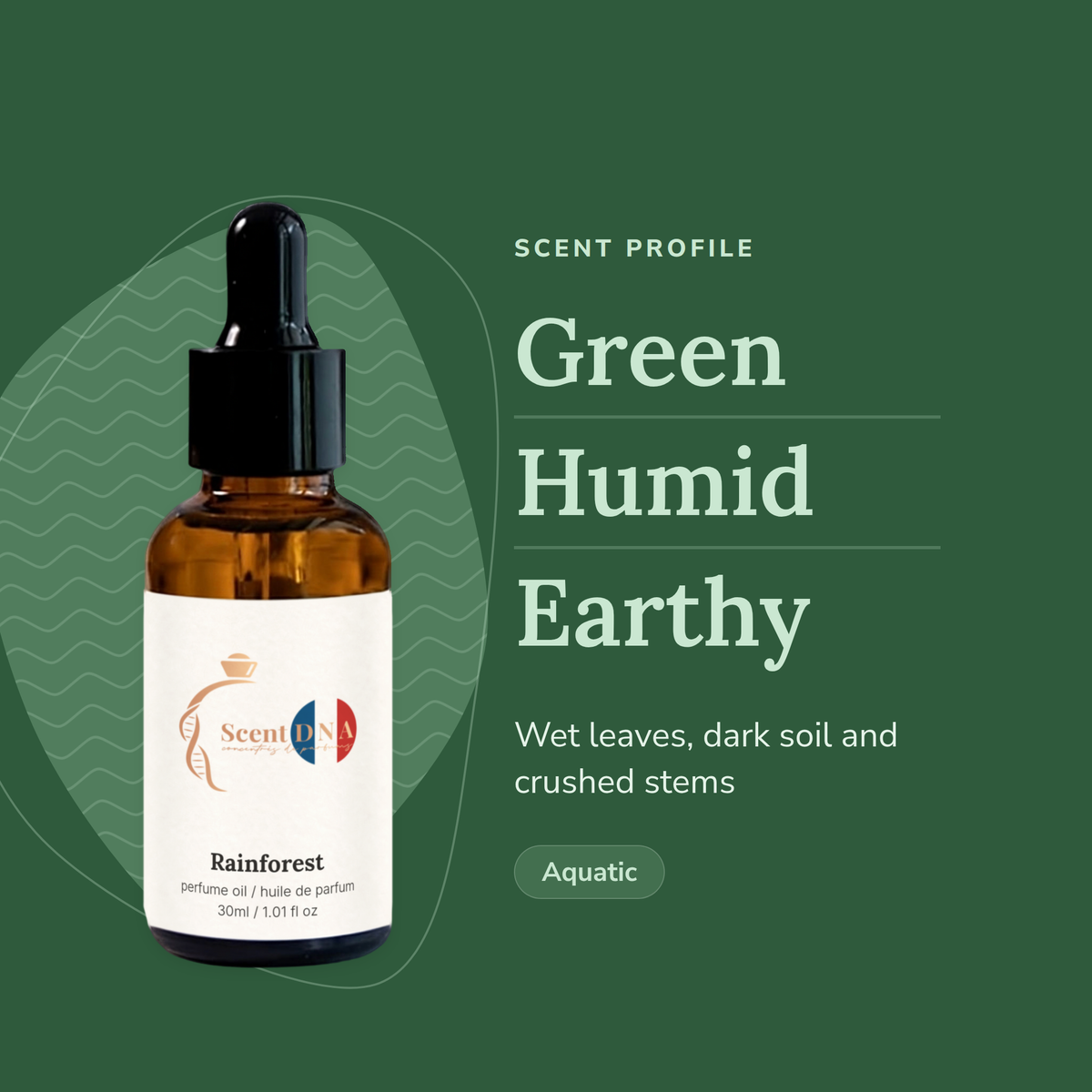 Rainforest Perfume Oil scent profile: green, humid, earthy. Wet leaves, dark soil and crushed stems