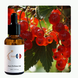 Red Currant Perfume Oil