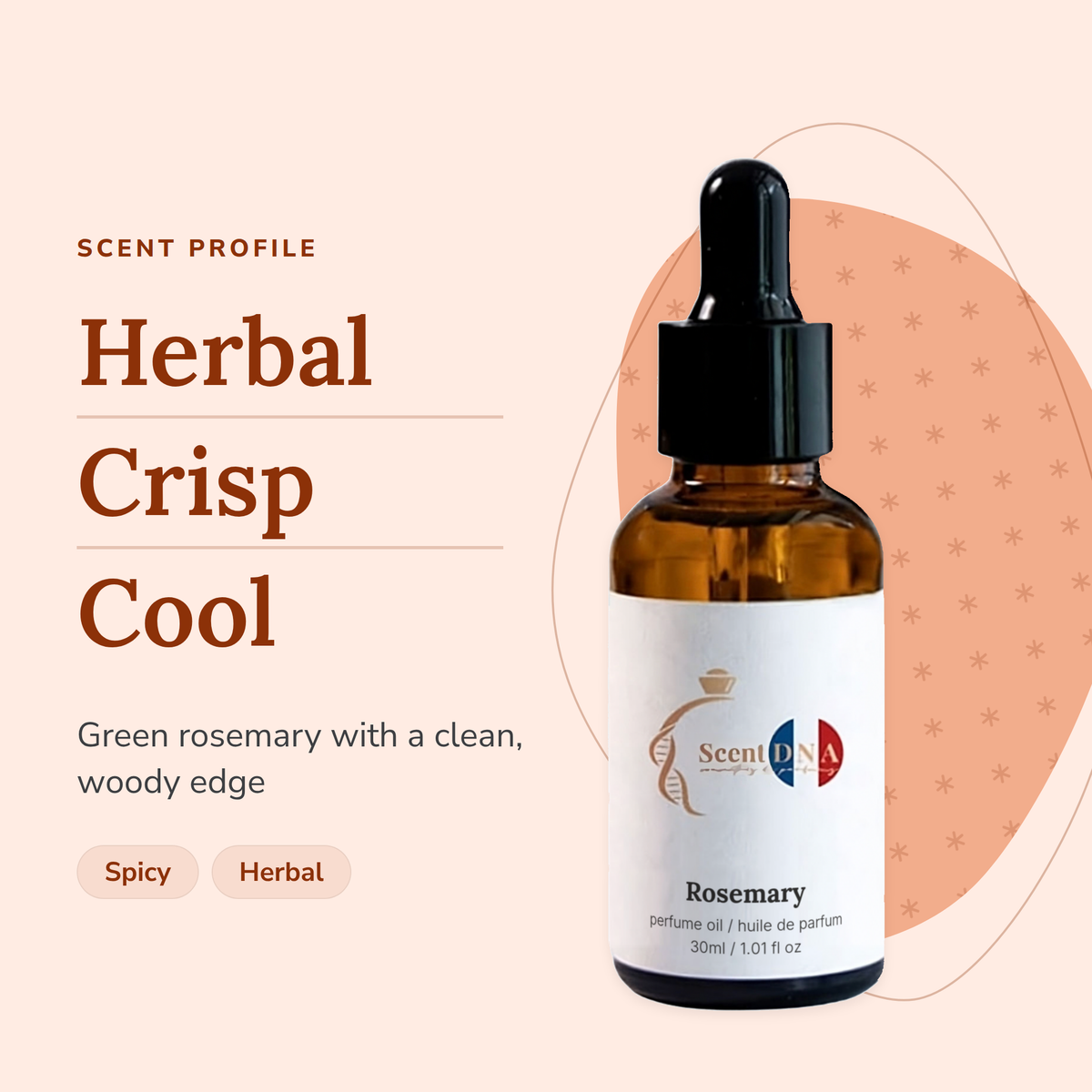 Rosemary Perfume Oil scent profile: herbal, crisp, cool. Green rosemary with a clean, woody edge