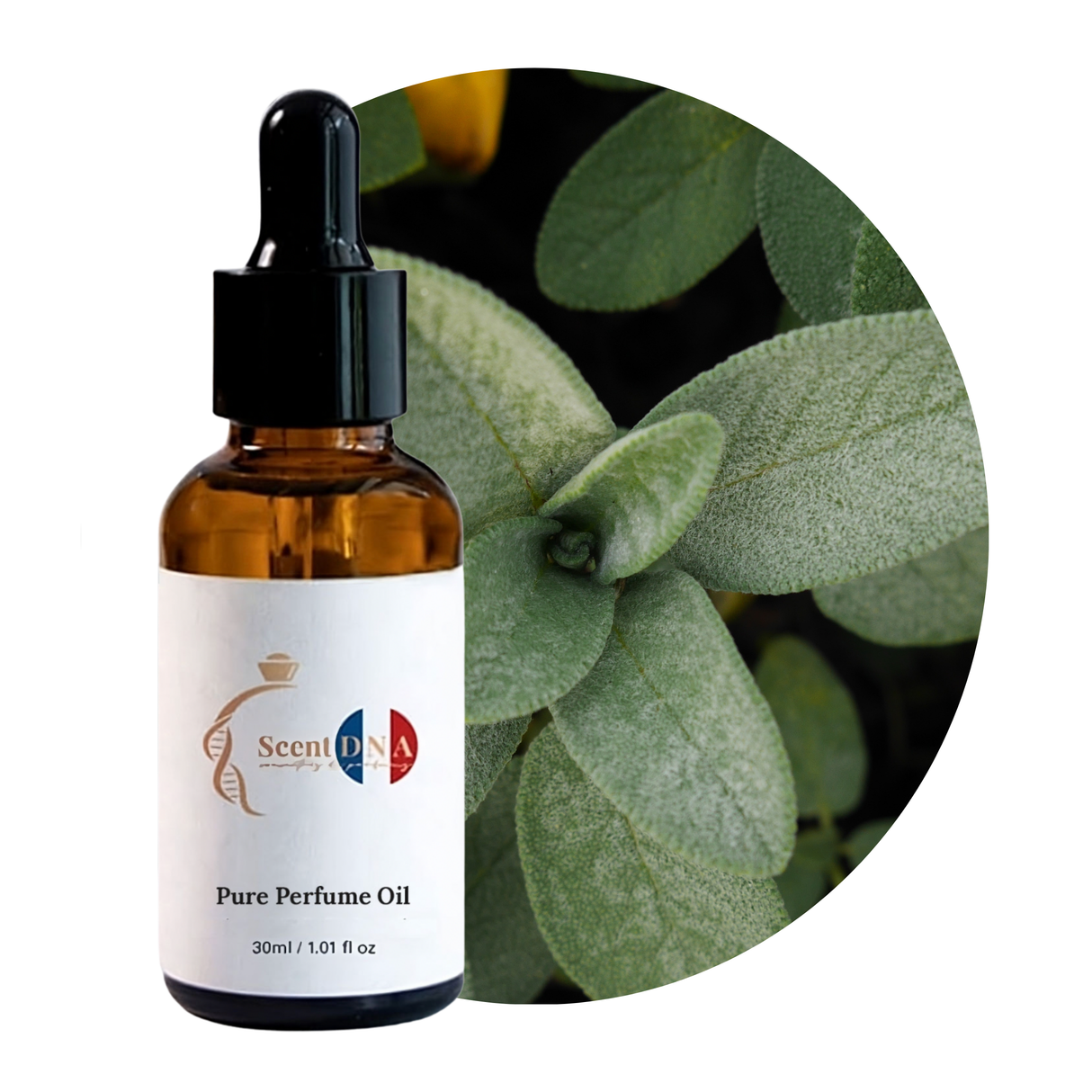 زيت الميرمية العطري