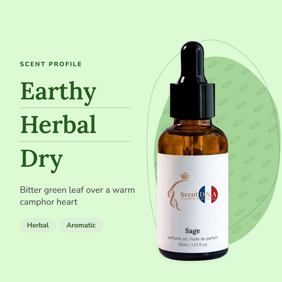 Sage Perfume Oil scent profile: earthy, herbal, dry. Bitter green leaf over a warm camphor heart