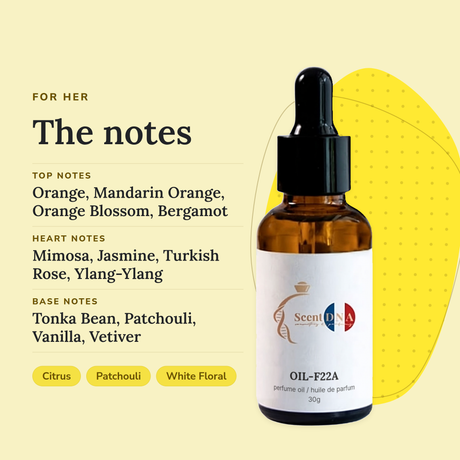 Scent DNA Inspired Perfume Oil inspired by Coco Mademoiselle (Chanel), notes: top orange, mandarin orange; heart mimosa…