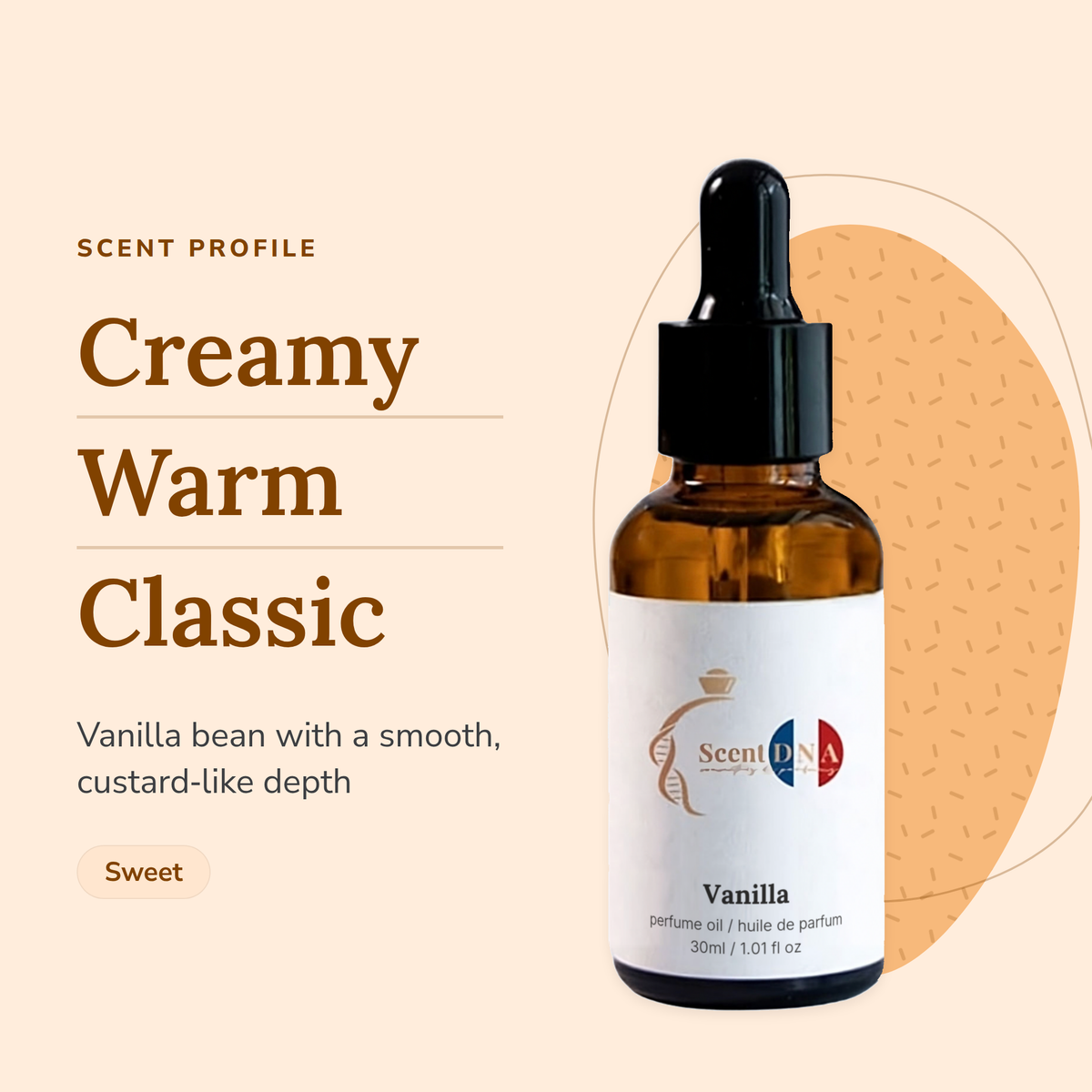 Vanilla Perfume Oil scent profile: creamy, warm, classic. Vanilla bean with a smooth, custard-like depth