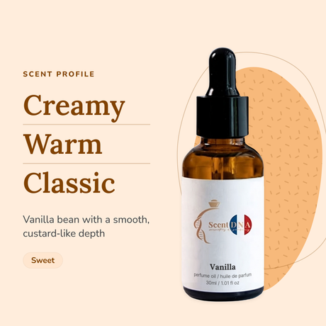 Vanilla Perfume Oil scent profile: creamy, warm, classic. Vanilla bean with a smooth, custard-like depth