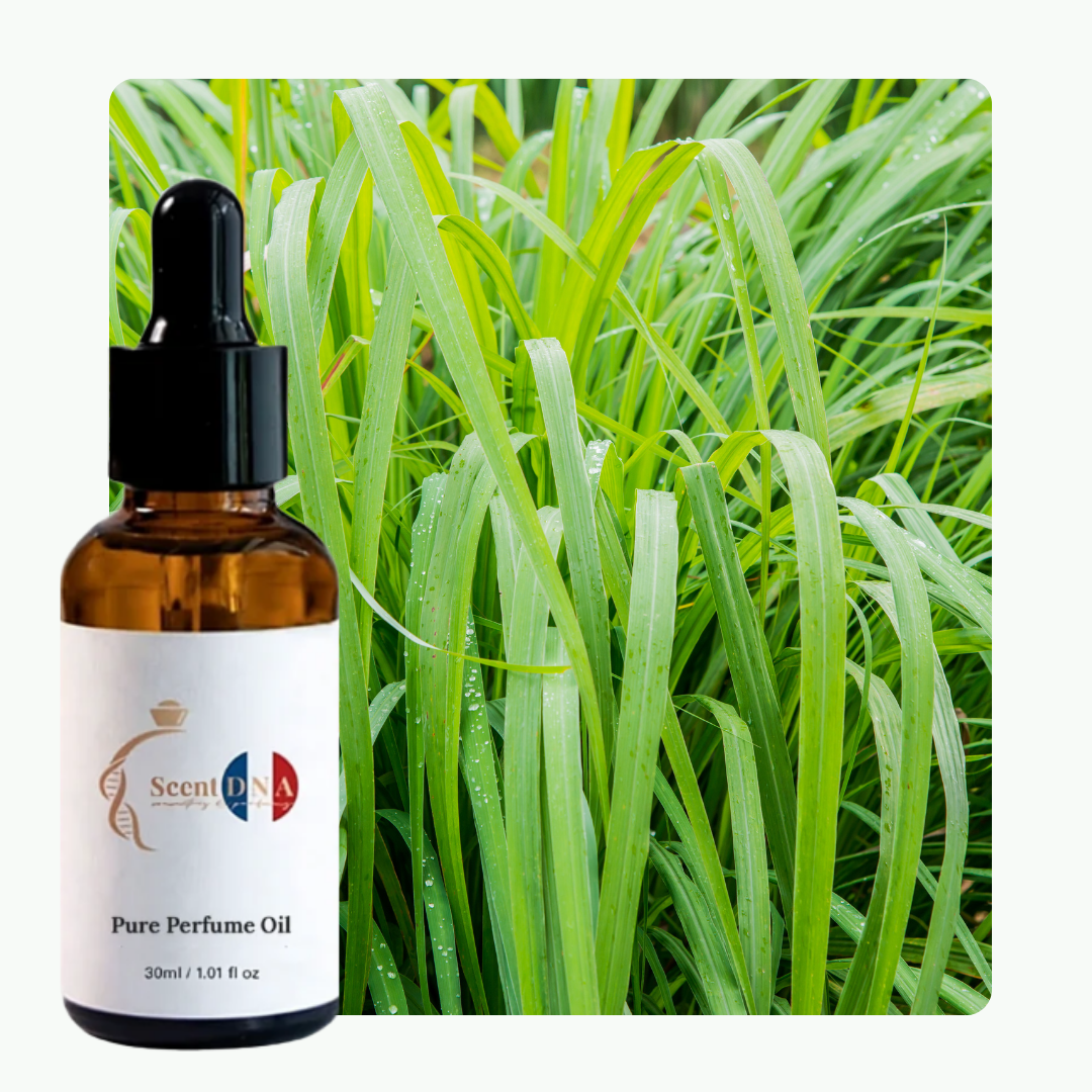 زيت نجيل الهند العطري