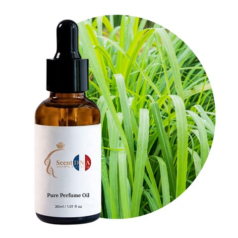 زيت الفيتيفر العطري