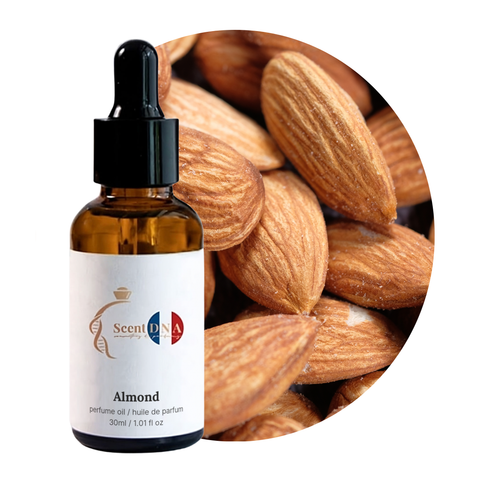 Almond Perfume Oil, 30ml amber glass dropper bottle by Scent DNA