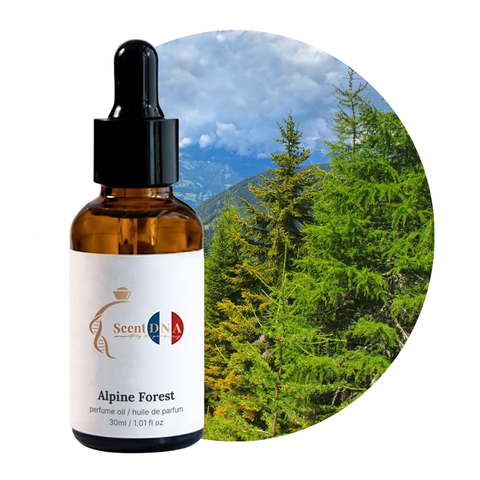 Alpine Forest Perfume Oil, 30ml amber glass dropper bottle by Scent DNA