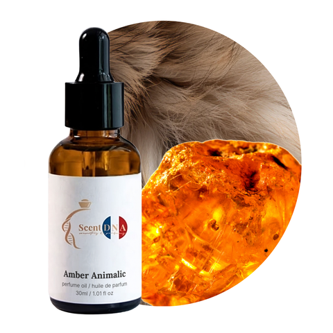 Amber Animalic Perfume Oil, 30ml amber glass dropper bottle by Scent DNA