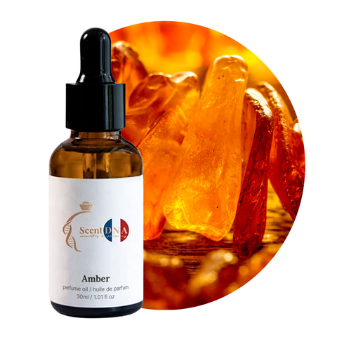Amber Perfume Oil, 30ml amber glass dropper bottle by Scent DNA