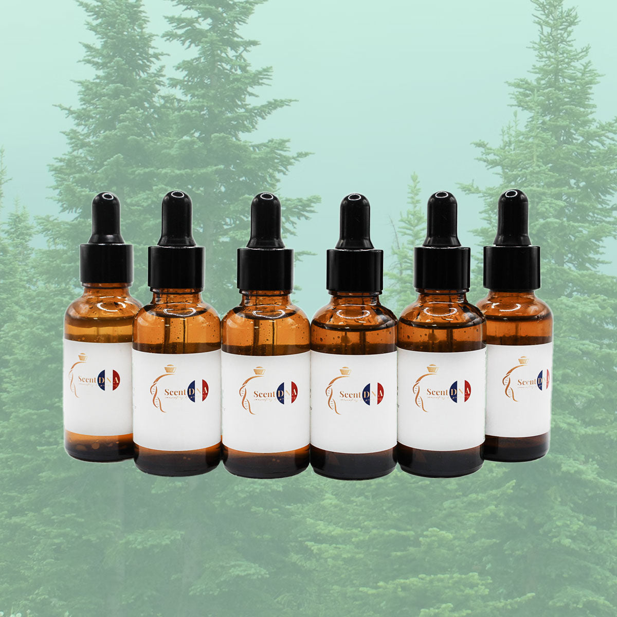 Aromatic Perfume Oil Bundle