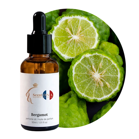 Bergamot Perfume Oil, 30ml amber glass dropper bottle by Scent DNA