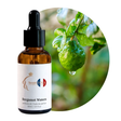 Bergamot Waters Fragrance Oil, 30ml amber glass dropper bottle by Scent DNA