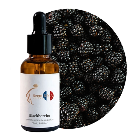 Blackberries Perfume Oil, 30ml amber glass dropper bottle by Scent DNA