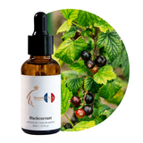 Blackcurrant Perfume Oil, 30ml amber glass dropper bottle by Scent DNA