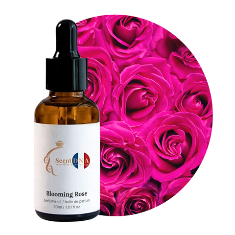 Blooming Rose Perfume Oil, 30ml amber glass dropper bottle by Scent DNA