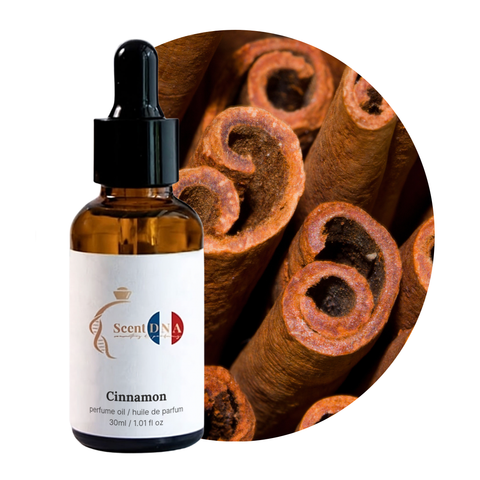 Cinnamon Perfume Oil, 30ml amber glass dropper bottle by Scent DNA