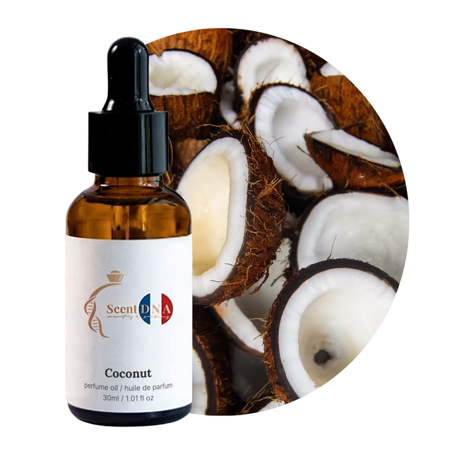 Coconut Perfume Oil, 30ml amber glass dropper bottle by Scent DNA