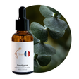 Eucalyptus Perfume Oil, 30ml amber glass dropper bottle by Scent DNA